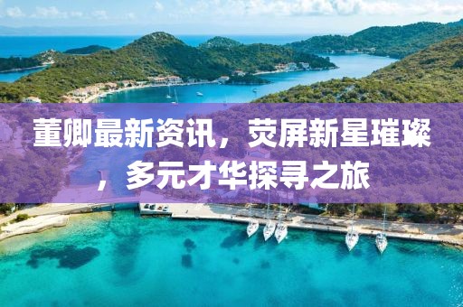 董卿最新资讯，荧屏新星璀璨，多元才华探寻之旅