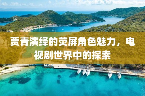 贾青演绎的荧屏角色魅力，电视剧世界中的探索