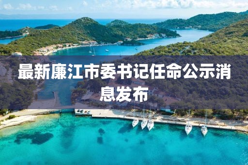 最新廉江市委书记任命公示消息发布