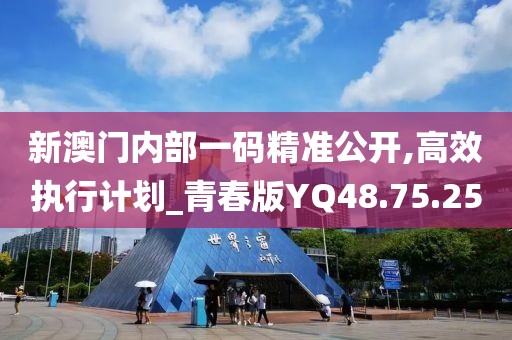 新澳门内部一码精准公开,高效执行计划_青春版YQ48.75.25