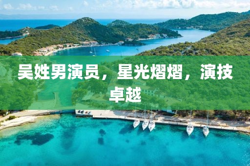 吴姓男演员，星光熠熠，演技卓越