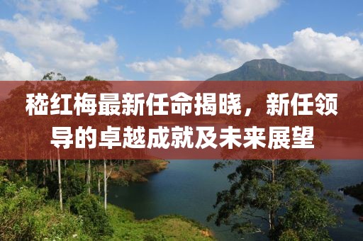 嵇红梅最新任命揭晓，新任领导的卓越成就及未来展望