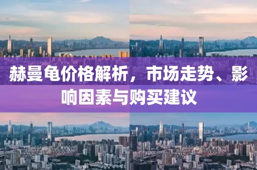 赫曼龟价格解析，市场走势、影响因素与购买建议
