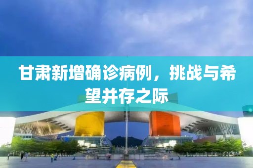 甘肃新增确诊病例，挑战与希望并存之际
