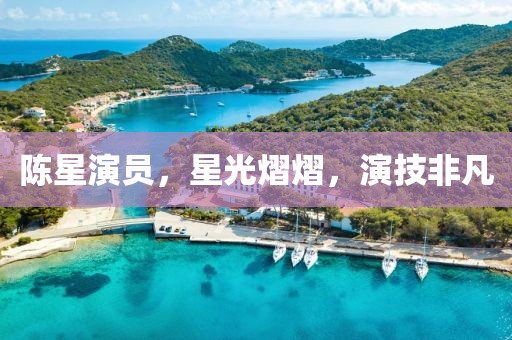 陈星演员，星光熠熠，演技非凡