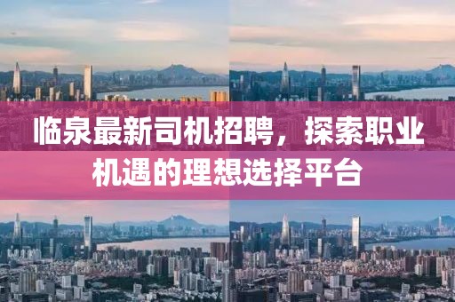 临泉最新司机招聘，探索职业机遇的理想选择平台