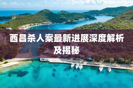 西昌杀人案最新进展深度解析及揭秘