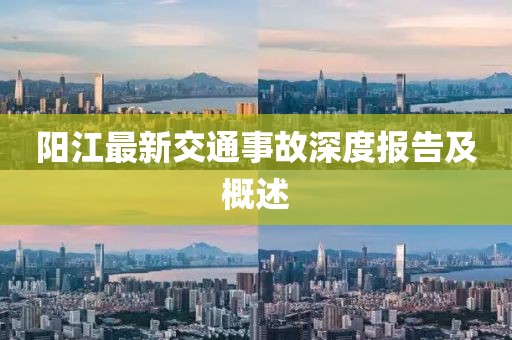 阳江最新交通事故深度报告及概述