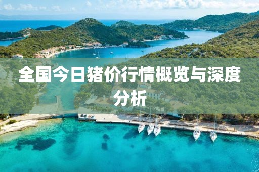 全国今日猪价行情概览与深度分析