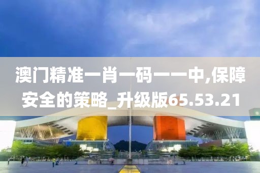 澳门精准一肖一码一一中,保障安全的策略_升级版65.53.21