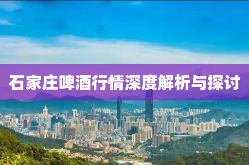 石家庄啤酒行情深度解析与探讨