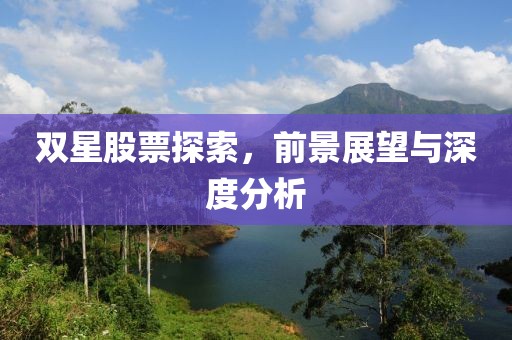 双星股票探索，前景展望与深度分析