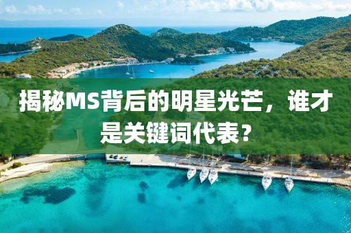 揭秘MS背后的明星光芒，谁才是关键词代表？