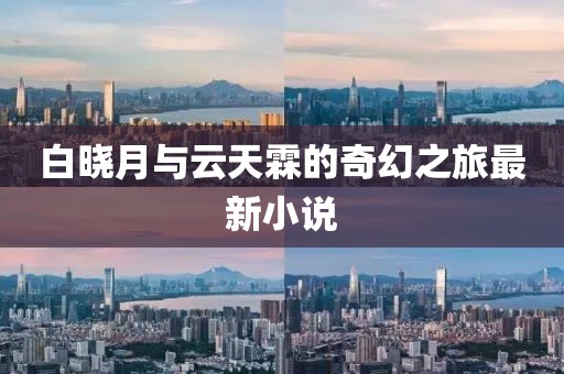 白晓月与云天霖的奇幻之旅最新小说