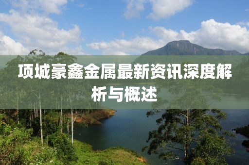 项城豪鑫金属最新资讯深度解析与概述