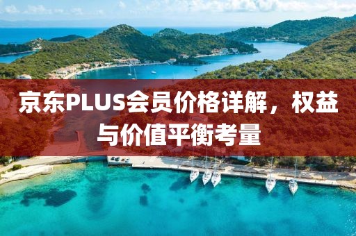 京东PLUS会员价格详解，权益与价值平衡考量