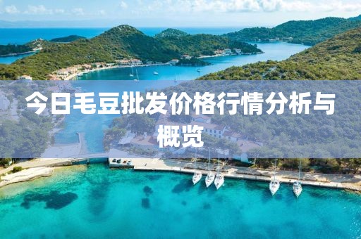 今日毛豆批发价格行情分析与概览