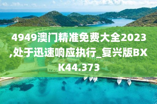 4949澳门精准免费大全2023,处于迅速响应执行_复兴版BXK44.373