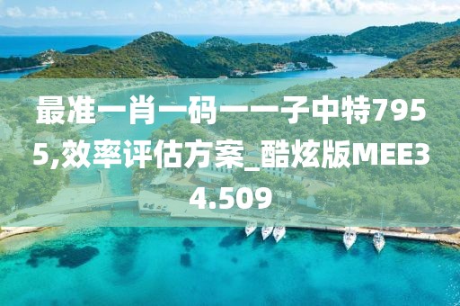 最准一肖一码一一子中特7955,效率评估方案_酷炫版MEE34.509