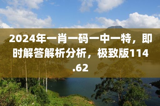 2024年一肖一码一中一特，即时解答解析分析，极致版114.62