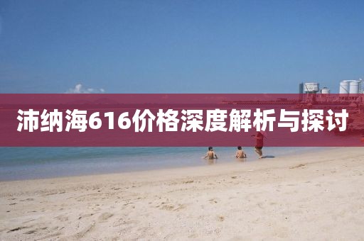 沛纳海616价格深度解析与探讨