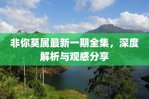 非你莫属最新一期全集，深度解析与观感分享
