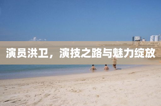 演员洪卫，演技之路与魅力绽放