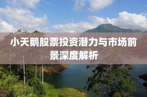 小天鹅股票投资潜力与市场前景深度解析