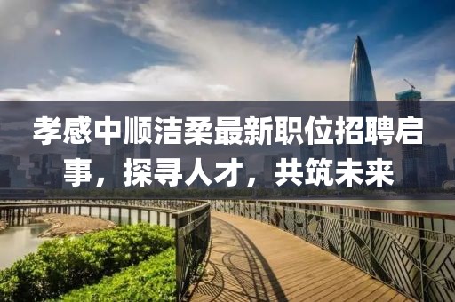 孝感中顺洁柔最新职位招聘启事，探寻人才，共筑未来