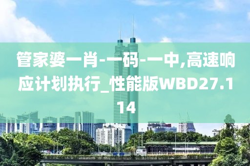 管家婆一肖-一码-一中,高速响应计划执行_性能版WBD27.114