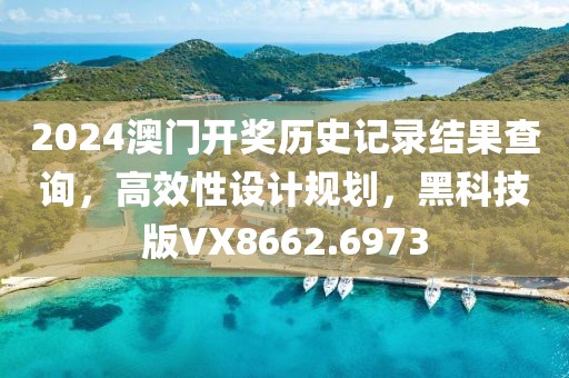 2024澳门开奖历史记录结果查询，高效性设计规划，黑科技版VX8662.6973