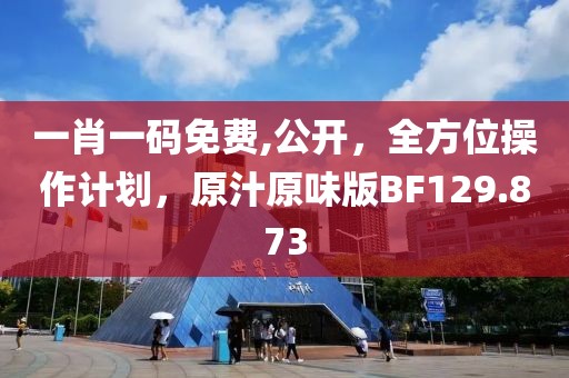 一肖一码免费,公开，全方位操作计划，原汁原味版BF129.873