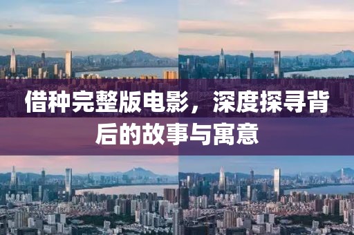 借种完整版电影，深度探寻背后的故事与寓意