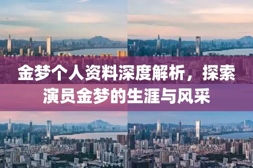 金梦个人资料深度解析，探索演员金梦的生涯与风采