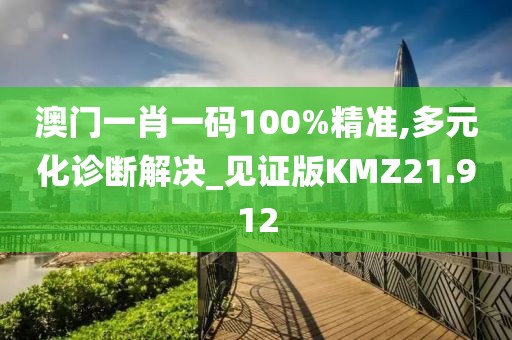 澳门一肖一码100%精准,多元化诊断解决_见证版KMZ21.912