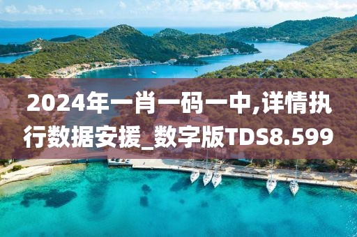 2024年一肖一码一中,详情执行数据安援_数字版TDS8.599