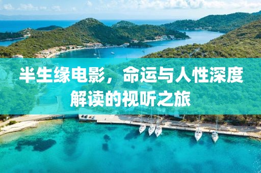 半生缘电影，命运与人性深度解读的视听之旅