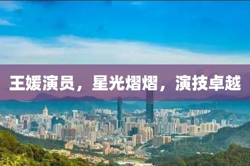 王媛演员，星光熠熠，演技卓越