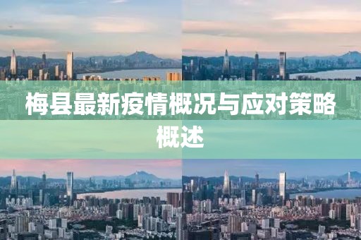 梅县最新疫情概况与应对策略概述