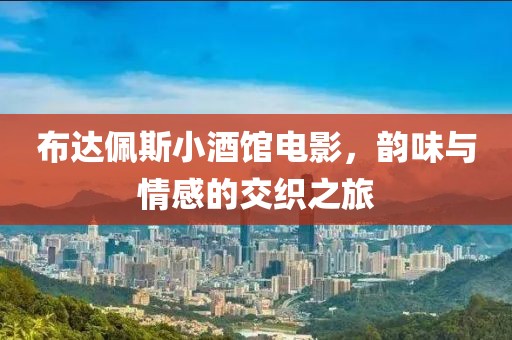 布达佩斯小酒馆电影，韵味与情感的交织之旅
