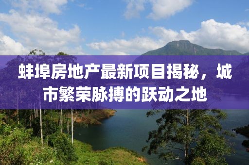 蚌埠房地产最新项目揭秘，城市繁荣脉搏的跃动之地
