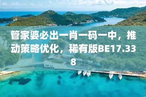 管家婆必出一肖一码一中，推动策略优化，稀有版BE17.338