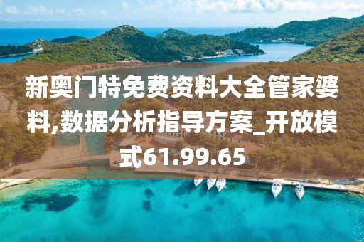 新奥门特免费资料大全管家婆料,数据分析指导方案_开放模式61.99.65