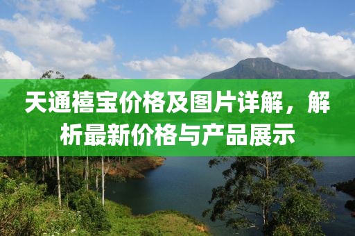 天通禧宝价格及图片详解，解析最新价格与产品展示