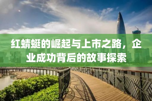 红蜻蜓的崛起与上市之路，企业成功背后的故事探索