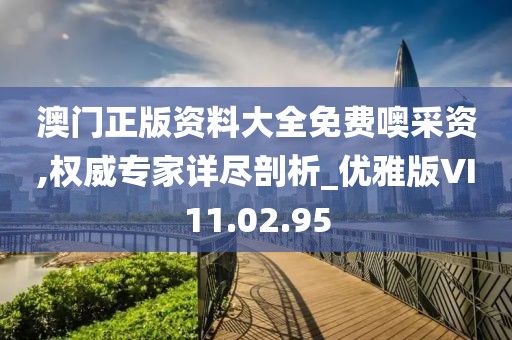 澳门正版资料大全免费噢采资,权威专家详尽剖析_优雅版VI11.02.95