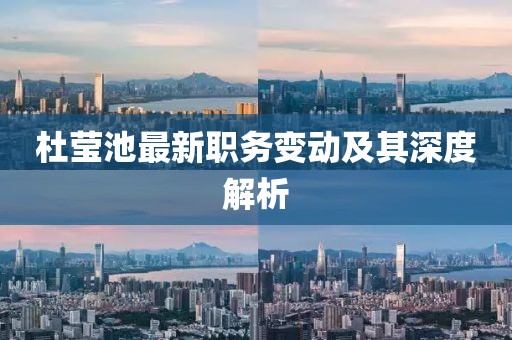 杜莹池最新职务变动及其深度解析