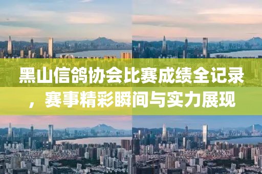 黑山信鸽协会比赛成绩全记录，赛事精彩瞬间与实力展现