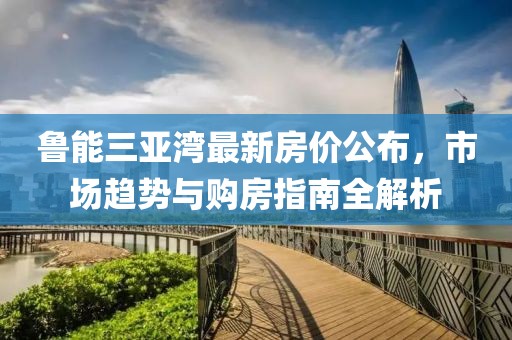 鲁能三亚湾最新房价公布，市场趋势与购房指南全解析