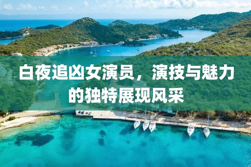 白夜追凶女演员，演技与魅力的独特展现风采